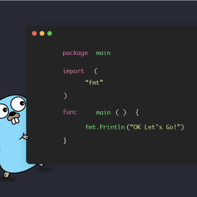 A Beginner’s Guide to Getting Started with Golang